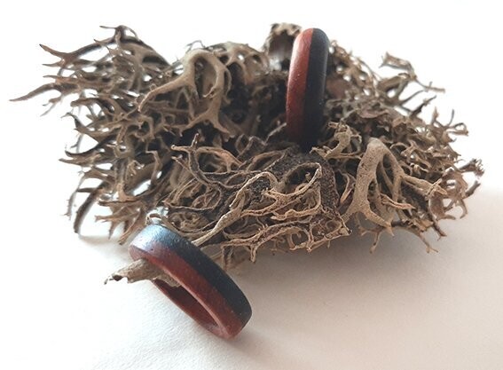 Anillo de madera Coral. Combinación de ébano y padouk - Imagen 2