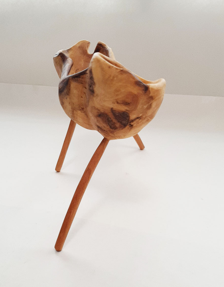 Escultura utilitaria Raíz 18. Boj - Imagen 15
